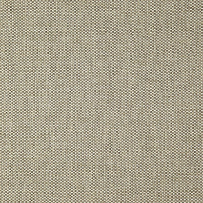 Chinchilla - Astro By Zepel || In Stitches Soft Furnishings