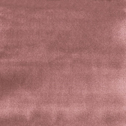 Blush - Casimir By Warwick || In Stitches Soft Furnishings