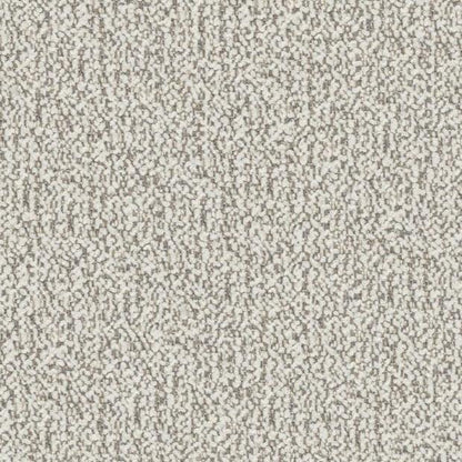 Shell - Kira By FibreGuard by Zepel || In Stitches Soft Furnishings