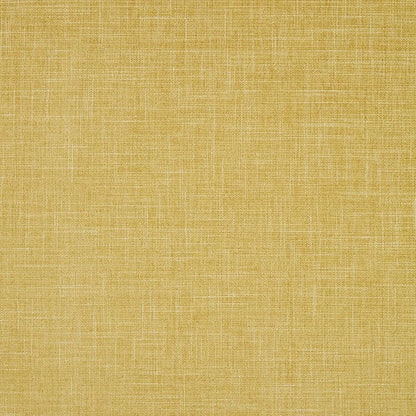 Chartreuse - Albany By Clarke & Clarke || In Stitches Soft Furnishings