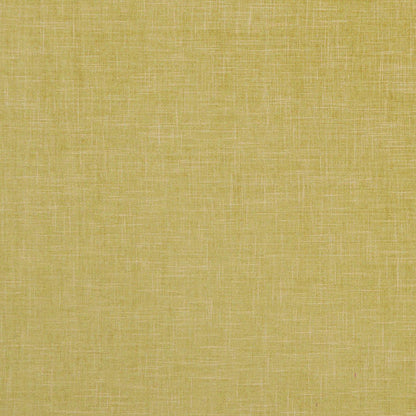 Citron - Albany By Clarke & Clarke || In Stitches Soft Furnishings