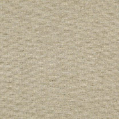 Sand - Caption By Zepel || In Stitches Soft Furnishings