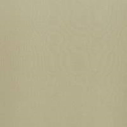 Almond - Dune By ILIV || In Stitches Soft Furnishings