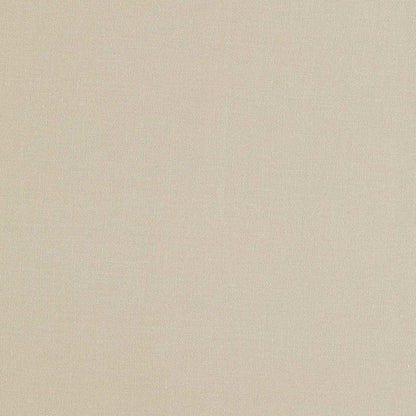 Birch - Lazio By Clarke & Clarke || In Stitches Soft Furnishings