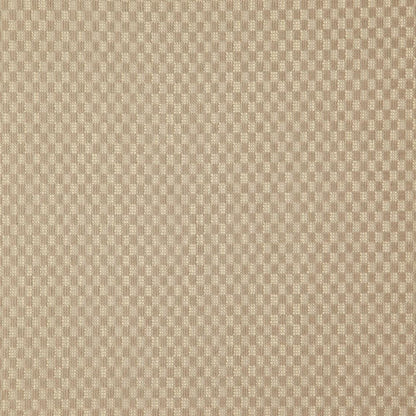 Ecru - Manalapan By FibreGuard by Zepel || In Stitches Soft Furnishings