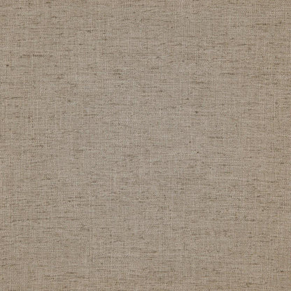 Oyster - Matcat By Zepel || In Stitches Soft Furnishings
